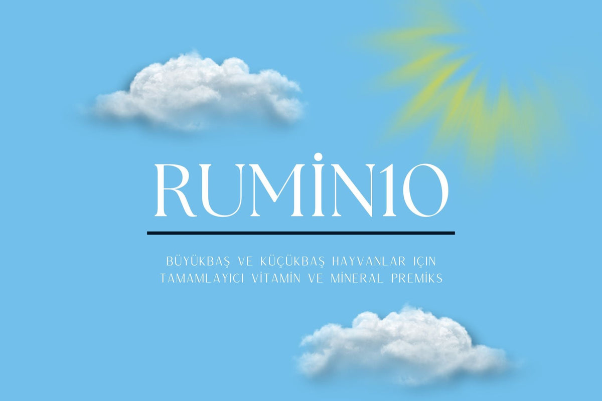 Rumin10 Büyükbaş ve Küçükbaş Hayvanlar İçin Tamamlayıcı Vitamin Mineral Premiks