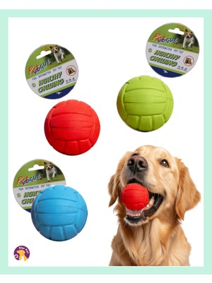 Pet vogue evcil hayvan hentbol topu