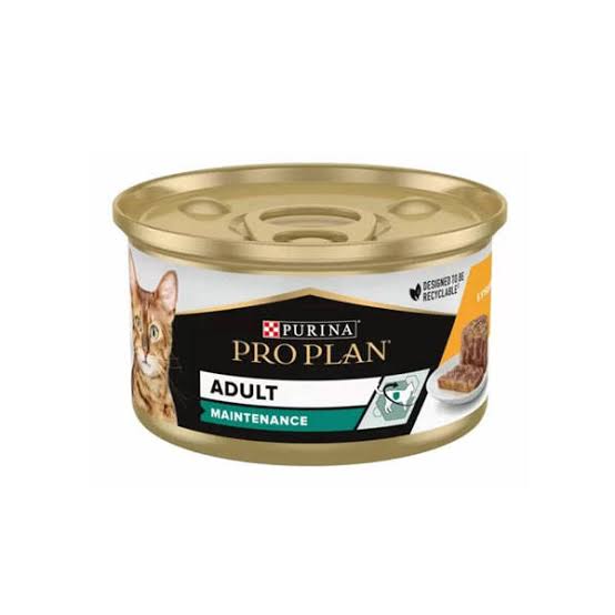 tavuklu yetişkin kedi yaş maması 85 g