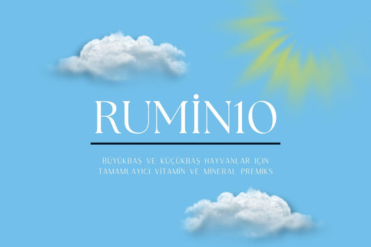 Rumin10 Büyükbaş ve Küçükbaş Hayvanlar İçin Tamamlayıcı Vitamin Mineral Premiks