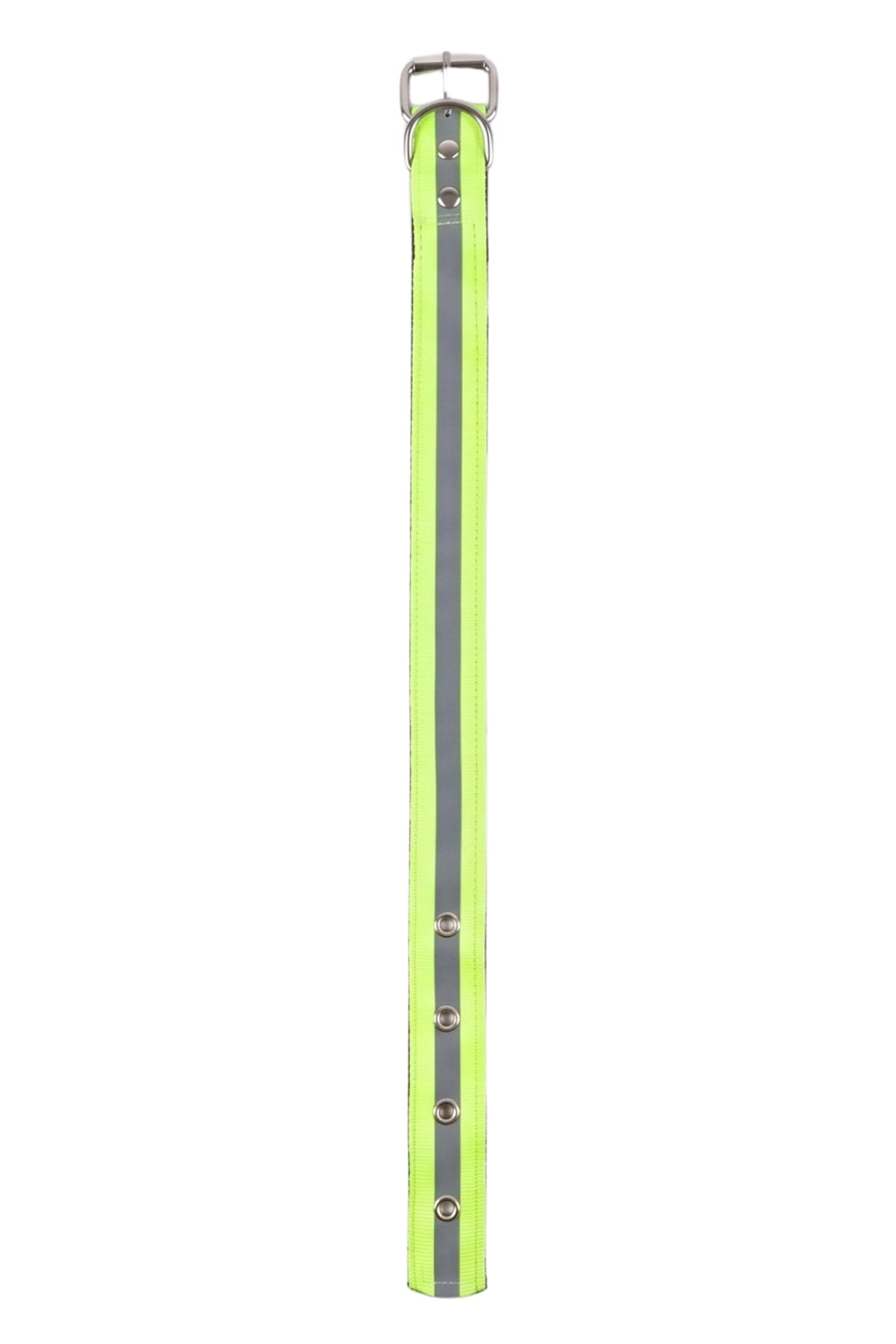 Fosforlu Yeşil Tasma 55 cm