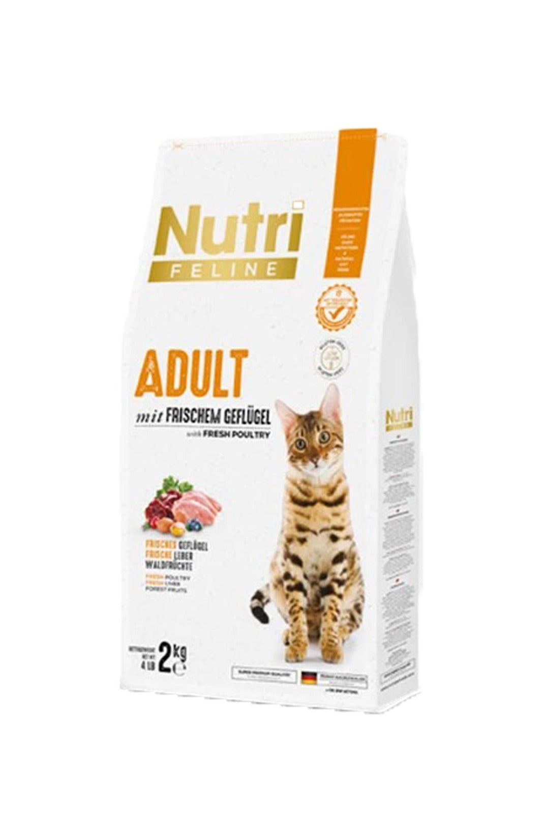 Adult Frıschem Salmon 2Kg ( Somonlu Yetiskin Kedi Maması)